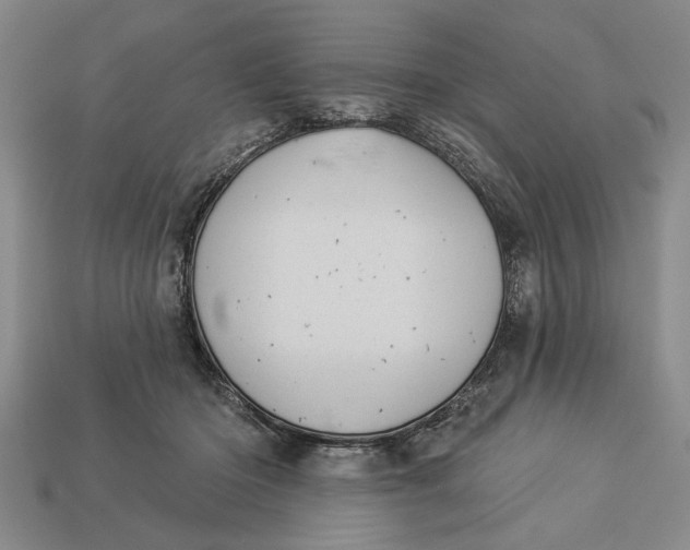 X0000112920414200909141317