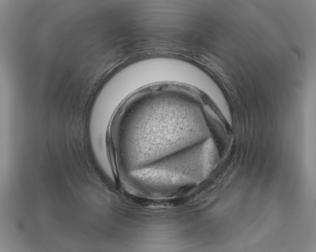 X0000112920415200909141316