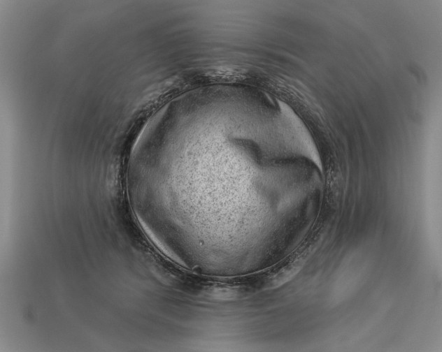 X0000112920416200909141316