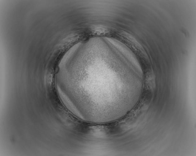 X0000112920417200909141316