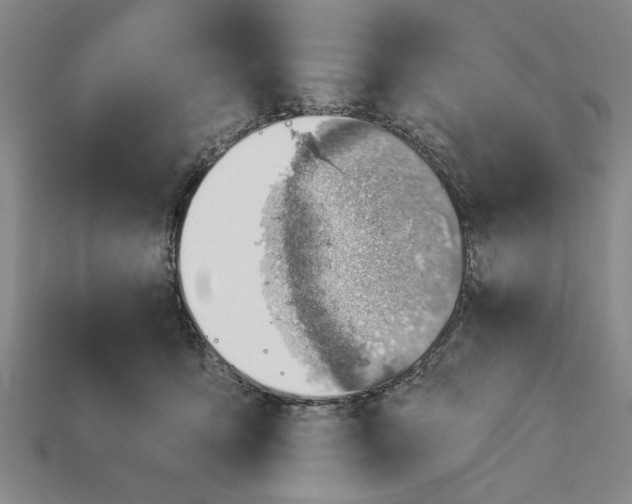 X0000112920419200909141316