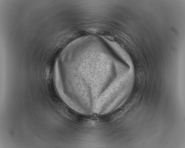 X0000112920420200909141316