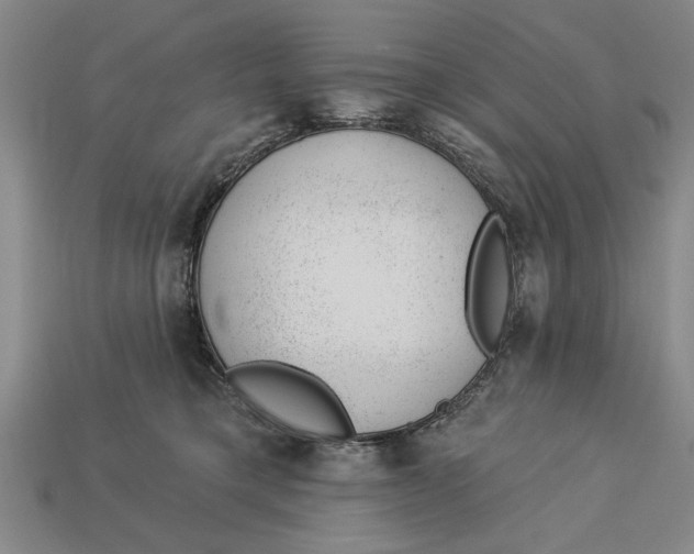 X0000112920421200909141316