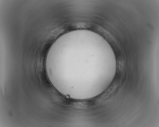 X0000112920422200909141316