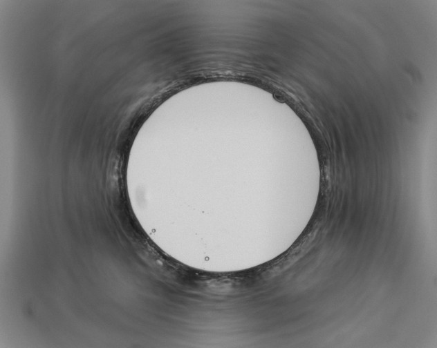 X0000112920423200909141316