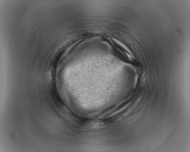 X0000112920424200909141316