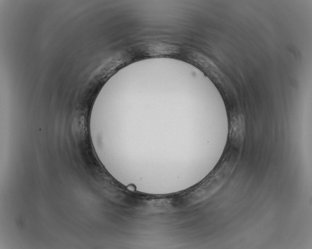 X0000112920426200909141316