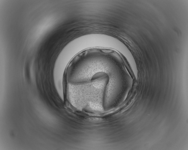 X0000112920429200909141316