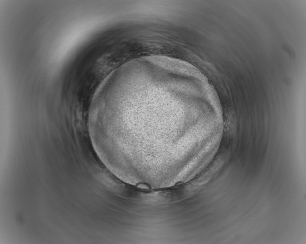 X0000112920430200909141316