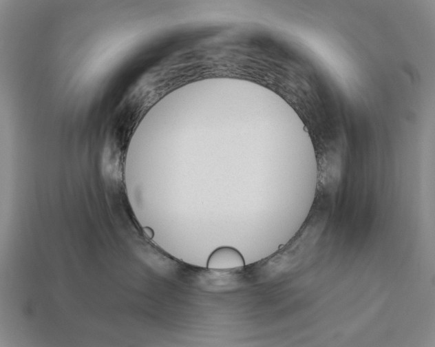 X0000112920431200909141316