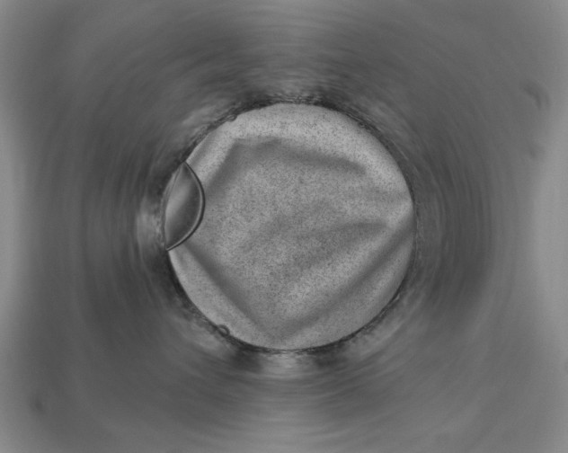 X0000112920432200909141316