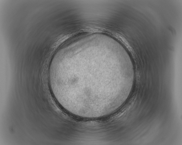 X0000112920433200909141316