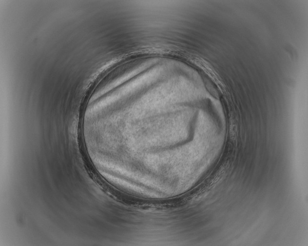X0000112920434200909141316