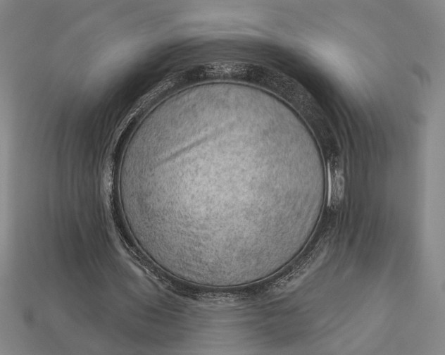 X0000112920435200909141316
