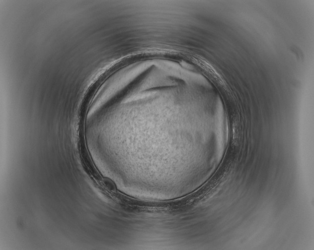 X0000112920436200909141316
