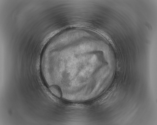 X0000112920437200909141316