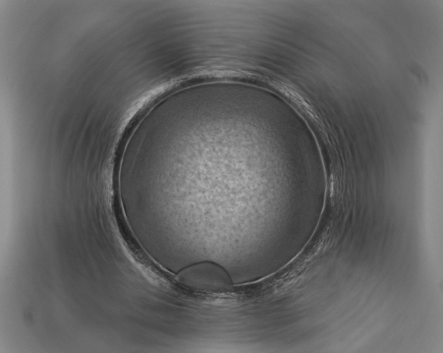 X0000112920438200909141316