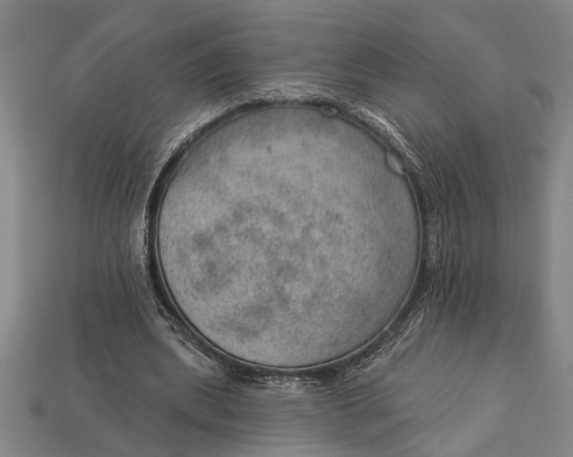 X0000112920439200909141316