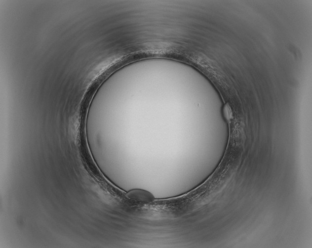 X0000112920440200909141316
