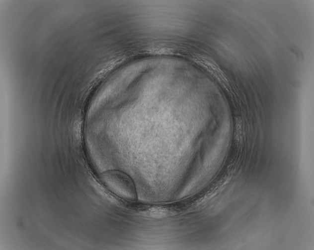 X0000112920441200909141316