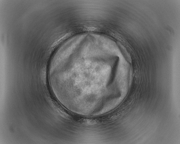 X0000112920442200909141316