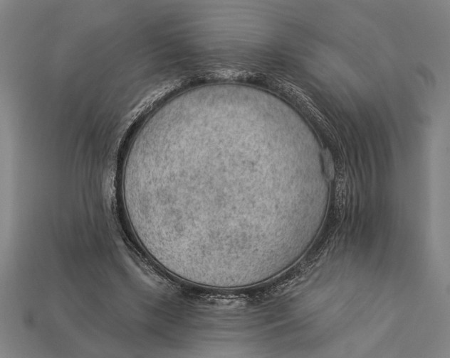 X0000112920443200909141316