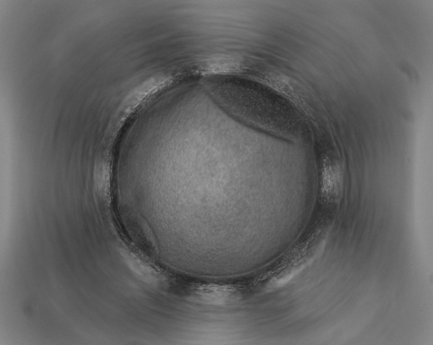 X0000112920444200909141316