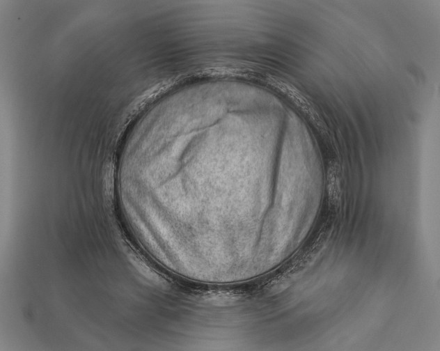 X0000112920445200909141316