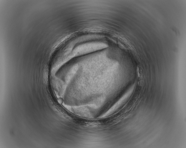 X0000112920446200909141316