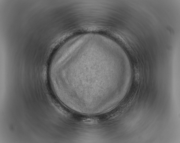 X0000112920447200909141316