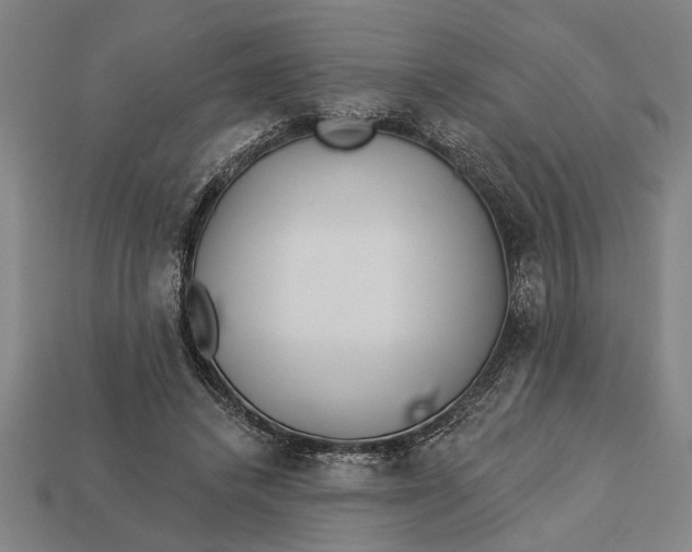 X0000112920448200909141316