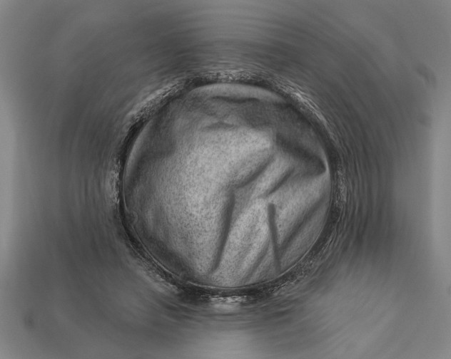X0000112920450200909141316