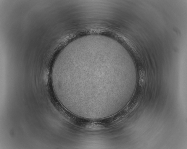 X0000112920451200909141316