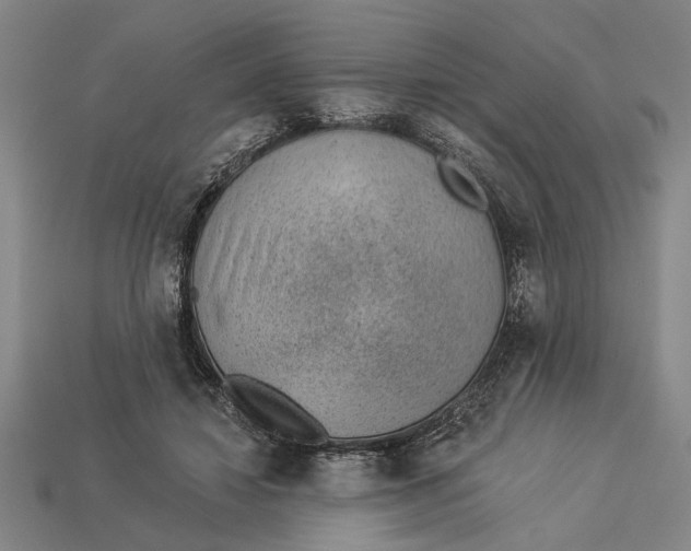 X0000112920452200909141316