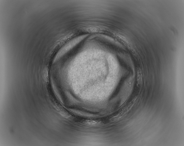 X0000112920453200909141316