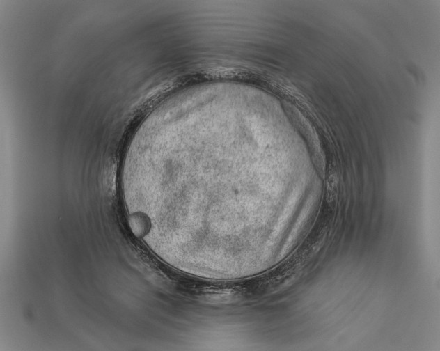X0000112920454200909141316