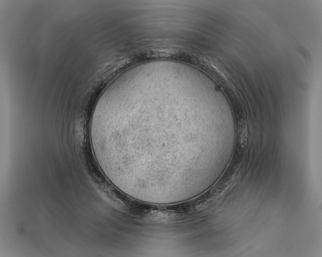 X0000112920455200909141316