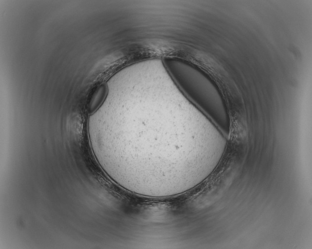 X0000112920456200909141316