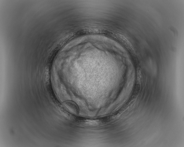 X0000112920457200909141316