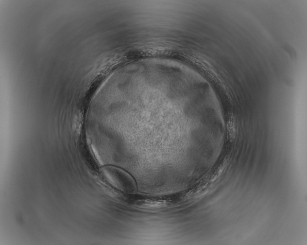 X0000112920458200909141316