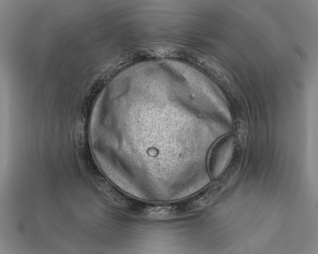 X0000112920461200909141316