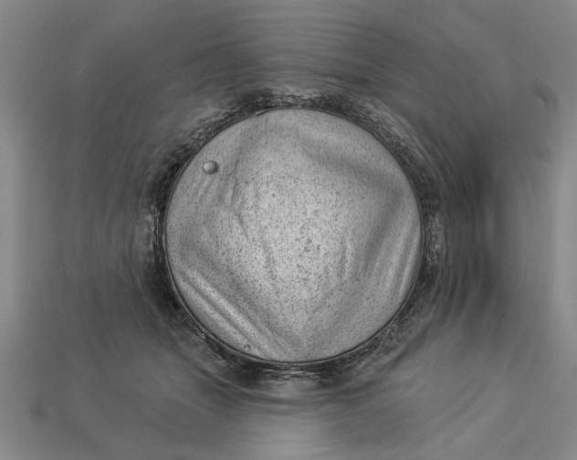 X0000112920463200909141316