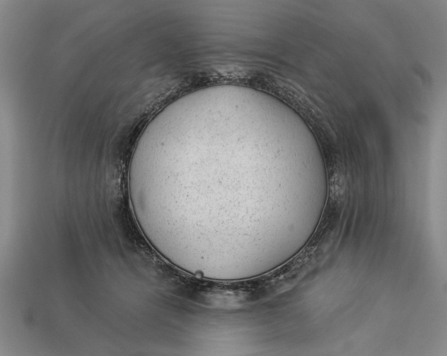 X0000112920464200909141316