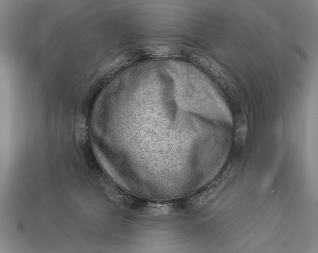 X0000112920469200909141316