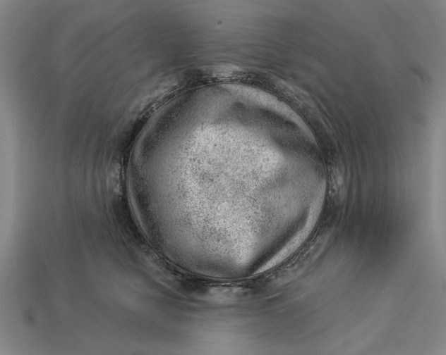 X0000112920470200909141316