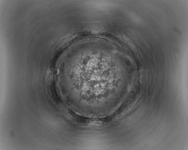 X0000112920471200909141316