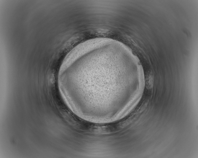 X0000112920472200909141316