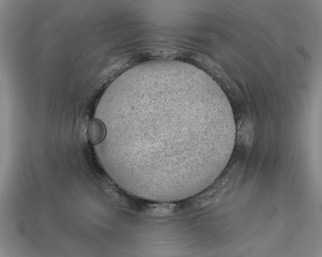 X0000112920474200909141316