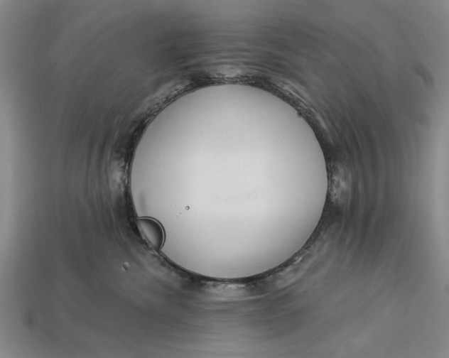 X0000112920476200909141316