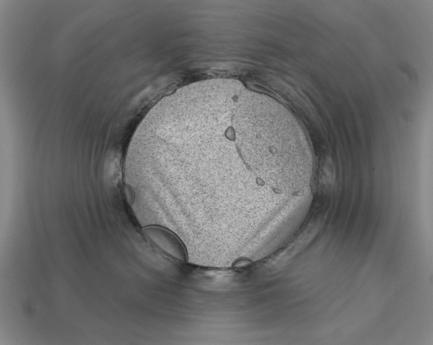 X0000112920478200909141316